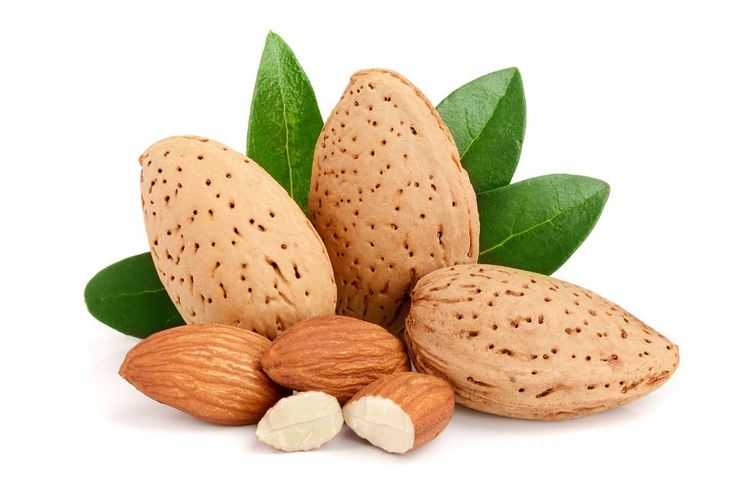 ISO Certified Bulk Iranian Mamra Almonds Supplier for African Union Countries National Food Security; Competitive Pricing & Multimodal Logistics